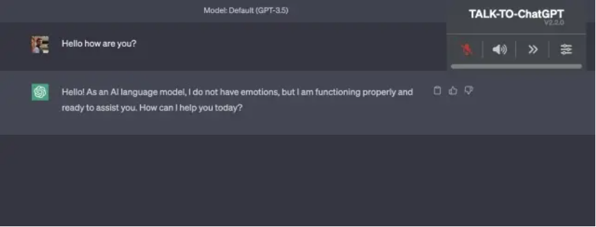 A screenshot of Talk-to-ChatGPT.